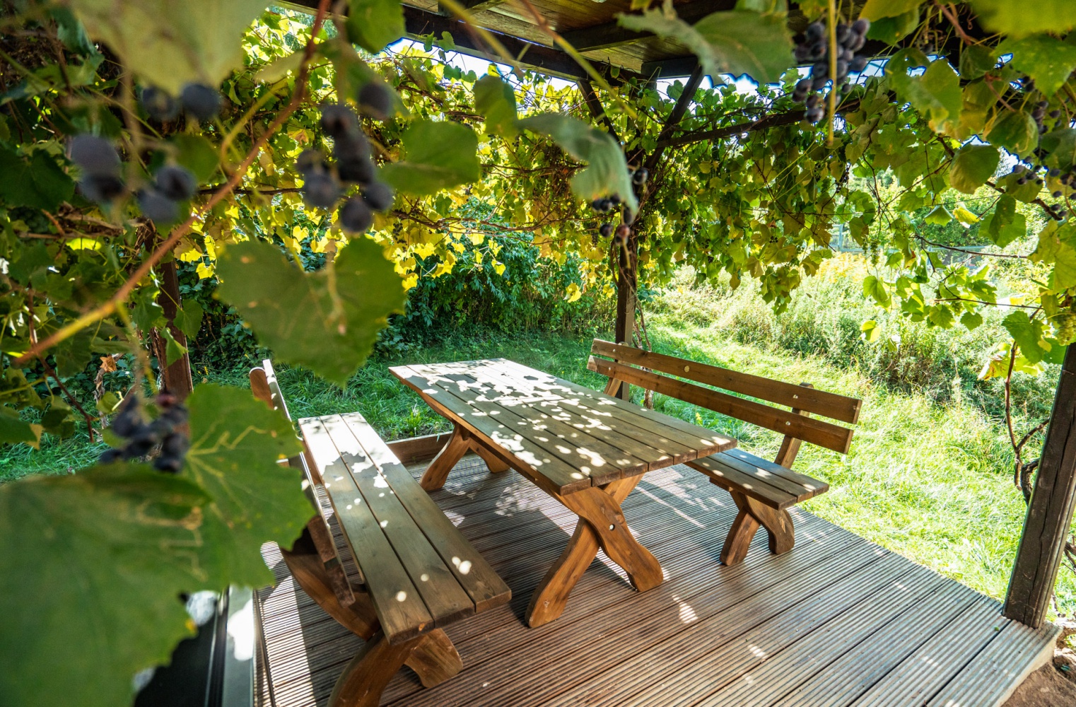 Mädls-Auszeit im Weinfass-Chalet für 4 | inkl. Frühstück