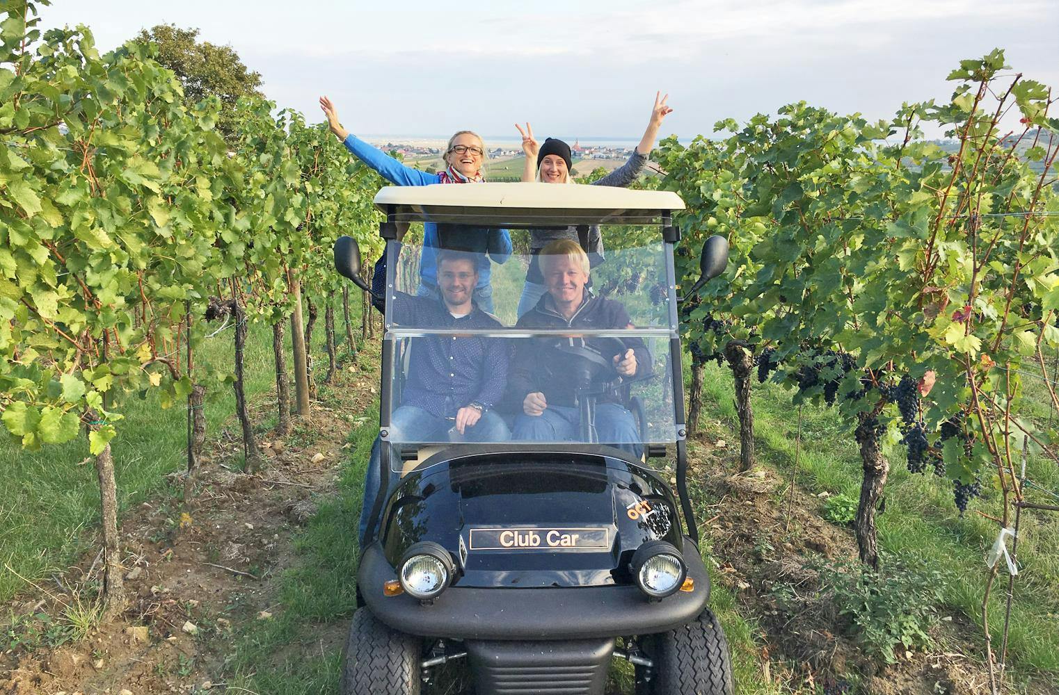 Genussfahrt im Golf Car | Weinverkostung in den Weingärten
